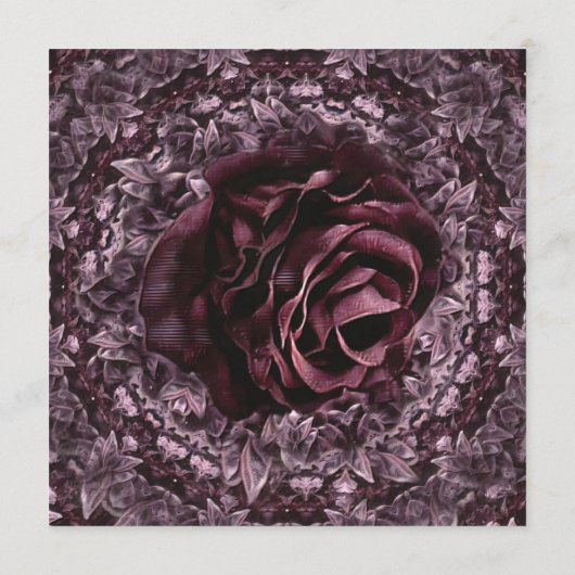 Programme Rose Mandala (Dos)