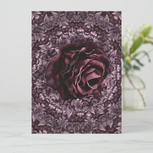 Programme Rose Mandala (Debout devant)