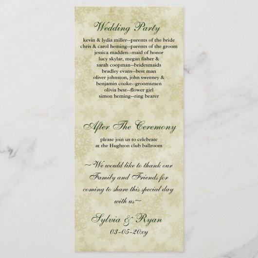 Programme Ruban vert, flocon de neige rustique (Dos)