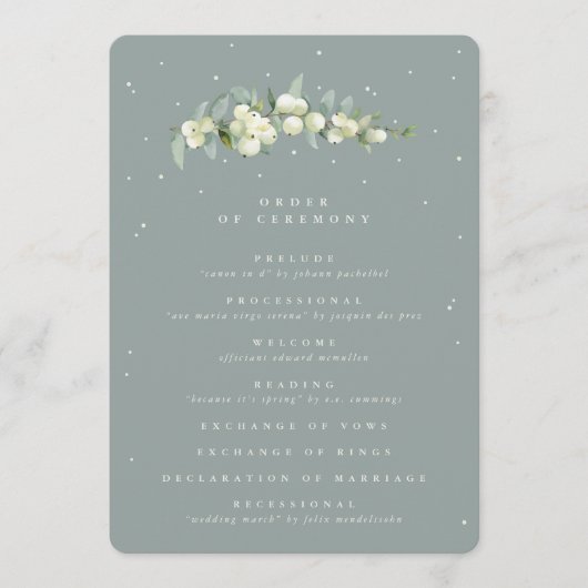 Programme Seafoam Green Snowberry+Eucalyptus Stem Mariage (Devant)