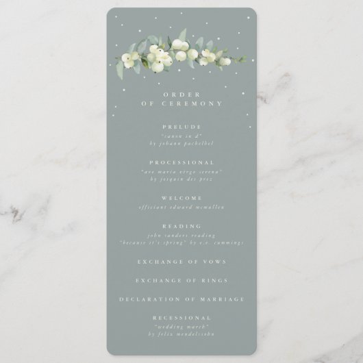 Programme Seafoam Green Snowberry+Eucalyptus Stem Mariage (Devant)