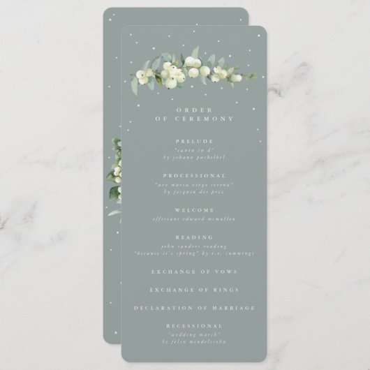 Programme Seafoam Green Snowberry+Eucalyptus Stem Mariage (Devant / Derrière)