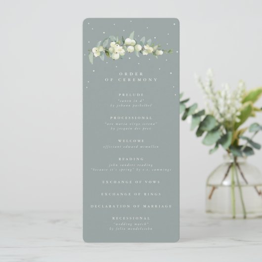 Programme Seafoam Green Snowberry+Eucalyptus Stem Mariage (Debout devant)