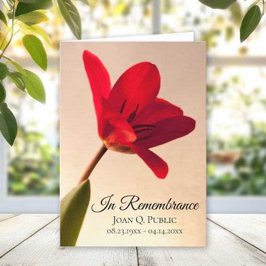 Programme Service funéraire de printemps de la tulipe rouge