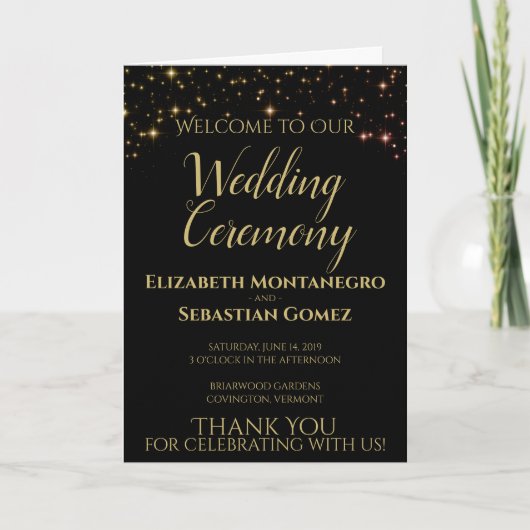 Programme Shimmering Sparkles Wedding Program (Devant)