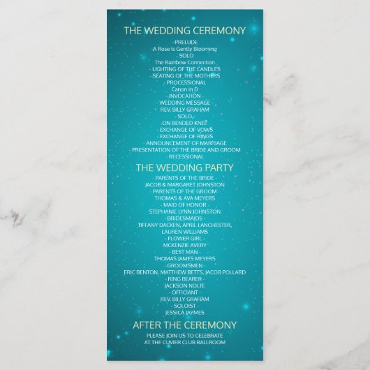 Programme String Lights & Turquoise Parties scintillant Wedd (Dos)