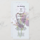 Programme Trois Irlandais dans les nuances de Magenta (Devant / Derrière)