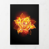 Programme Trois Volets Blooming Fire Rose (Page de couverture)