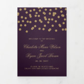 Programme Trois Volets Mariage photo Confetti de la Parties scintillant d (Page de couverture)