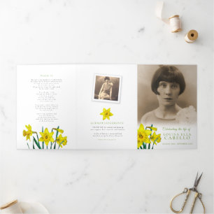 Programme Trois Volets Service funéraire printemps jaune daffodiques phot