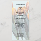 Programme Tulipes orange (Devant)