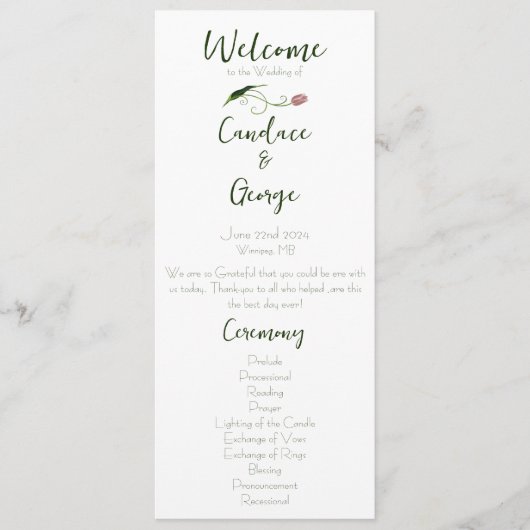 Programme Tulipes roses florales (Devant)