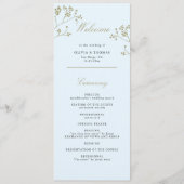 Programme Végétation d'hiver Ice Bleu Or Elégant jour de mar (Devant)