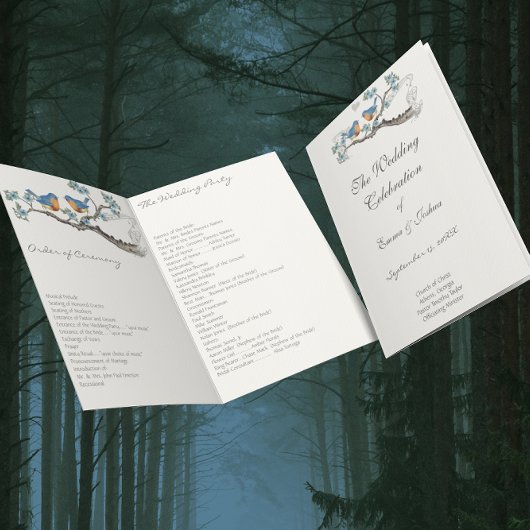 Programme vintage Bluebird