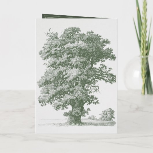 Programme Vintage Jardin Botanique Mariage Itinéraire (Dos)