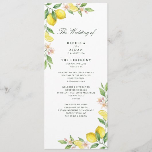 Programme Watercolor Wreath Mediterranean Citrus Wedding (Devant)