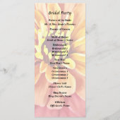 Programme Zinnia aux teintes d'orange (Dos)