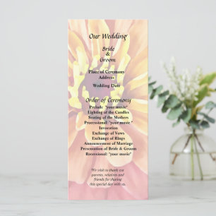Programme Zinnia aux teintes d'orange