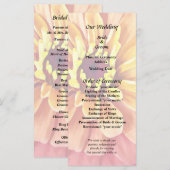 Programme Zinnia aux teintes orange (Devant / Derrière)