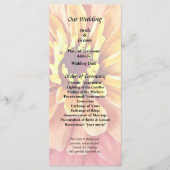 Programme Zinnia aux teintes orange (Devant)