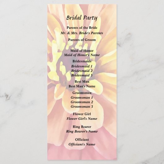 Programme Zinnia dans des nuances d'orange (Dos)