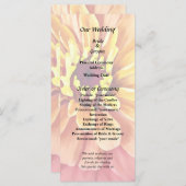 Programme Zinnia dans des nuances d'orange (Devant / Derrière)