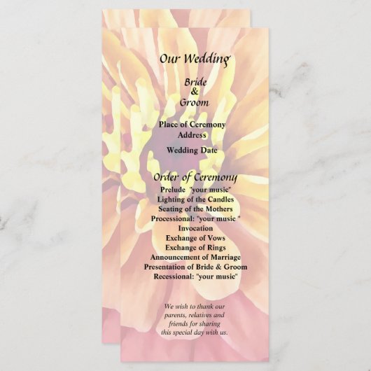 Programme Zinnia dans des nuances d'orange (Devant / Derrière)