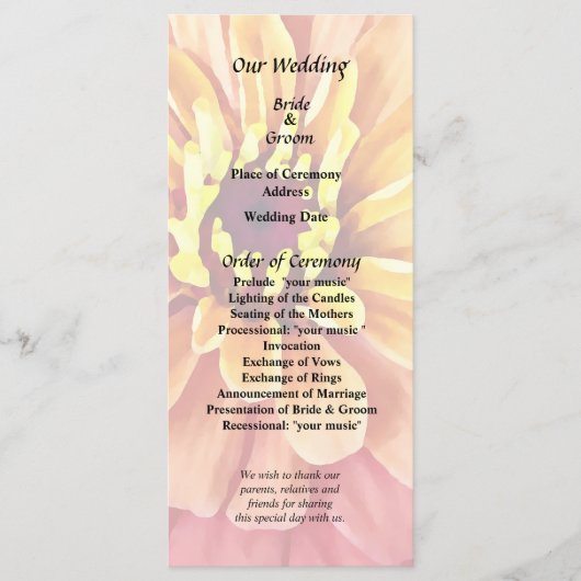 Programme Zinnia dans des nuances d'orange (Devant)