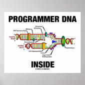 ProgrammeerDNA Inside (DNA-replicatie) Poster (Voorkant)