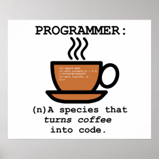 Programmer Définition Drôle Poster