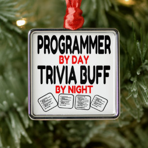 Programmer houdt van het spelen Trivia Metalen Ornament