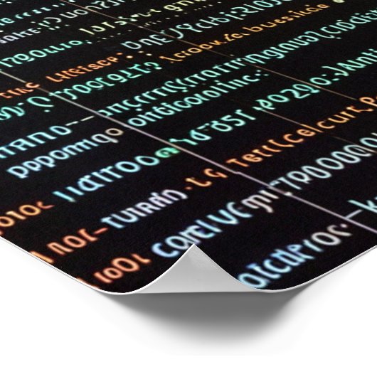 Programmering Poster (Hoek)