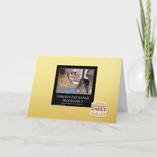 Programmes de devises étrangères 2 (Devant)