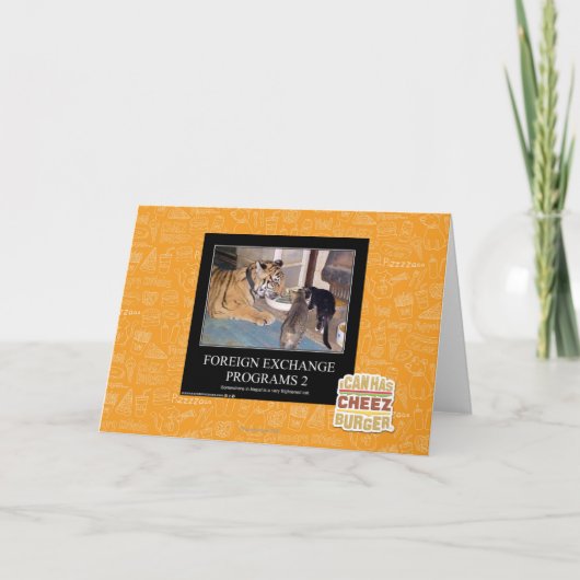 Programmes de devises étrangères 2 (Devant)