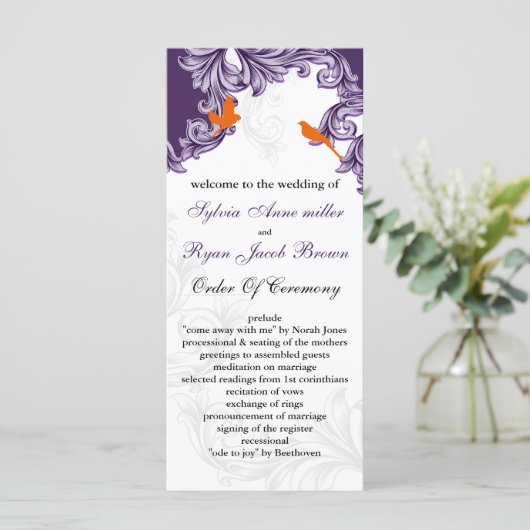 programmes de lovebirds pourpres et oranges (Debout devant)