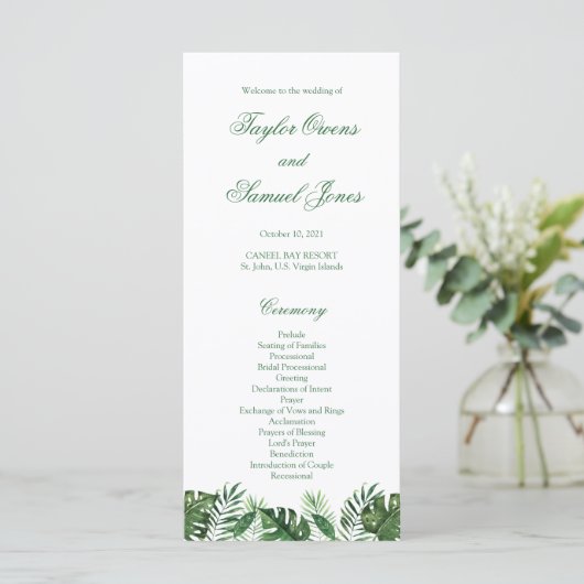 Programmes Tropical Palm Leaf (Debout devant)