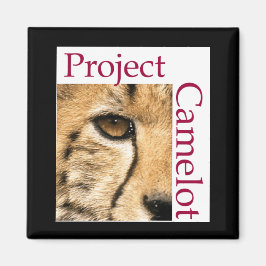 PROJECT CAMELOT FRIDGE MAGNET MAGNEET