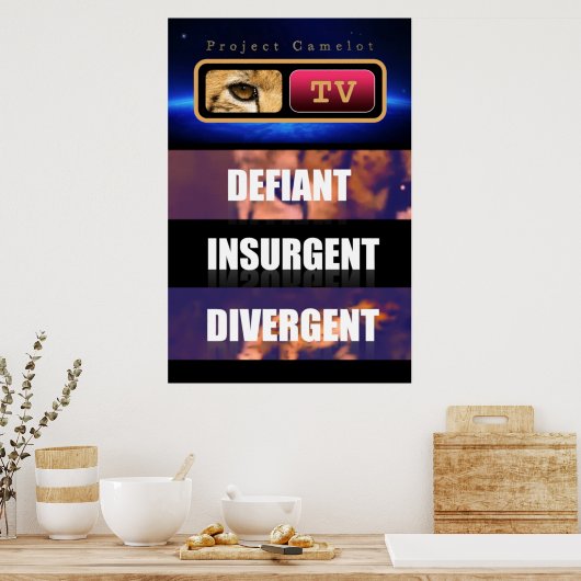 PROJECTCAMELOT POSTER (Keuken)