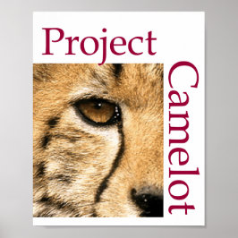 PROJECTCAMELOT-Poster Poster