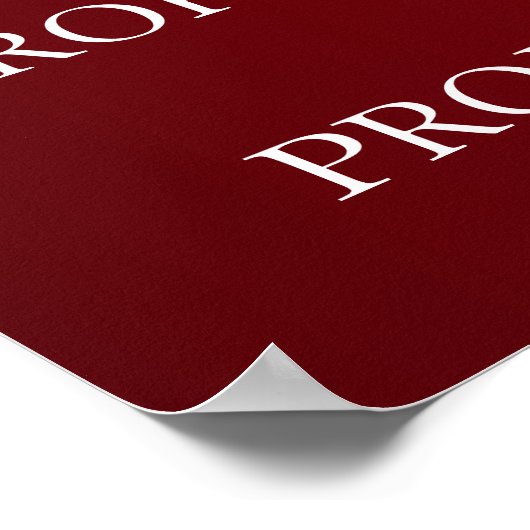 PROJECTPOSTER POSTER (Hoek)