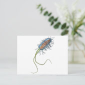 Prokaryotic cel briefkaart (Staand voorkant)