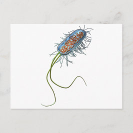 Prokaryotic cel briefkaart