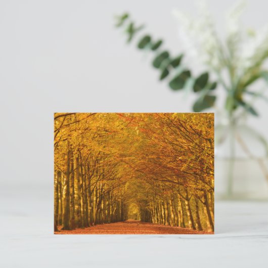 Promenade à travers la forêt en automne carte post (Debout devant)