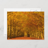 Promenade à travers la forêt en automne carte post (Devant / Derrière)