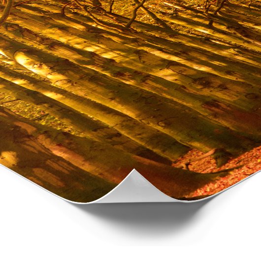 Promenade à travers la forêt en automne poster (Coin)