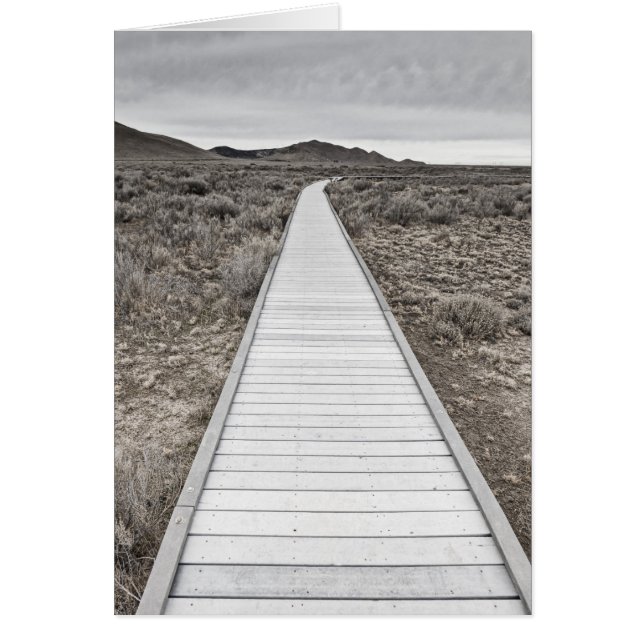 Promenade à travers le désert (Devant)