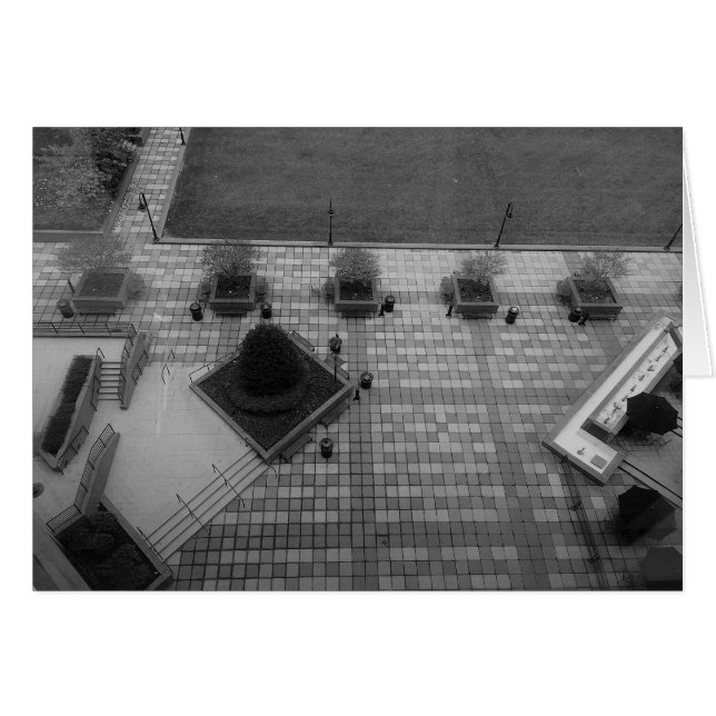 Promenade déserte / Noir (Devant horizontal)