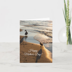 Promenade du coucher de soleil avec la carte mère