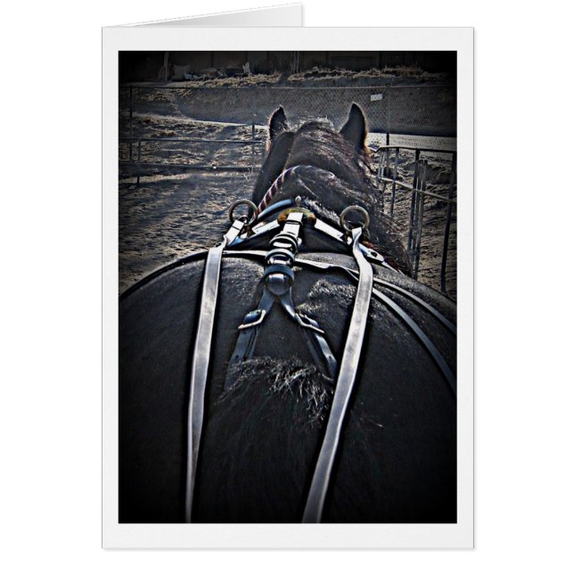 Promenade matinale (Devant)