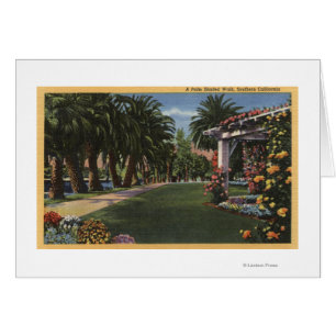 Promenade ombragée par paume de CaliforniaA